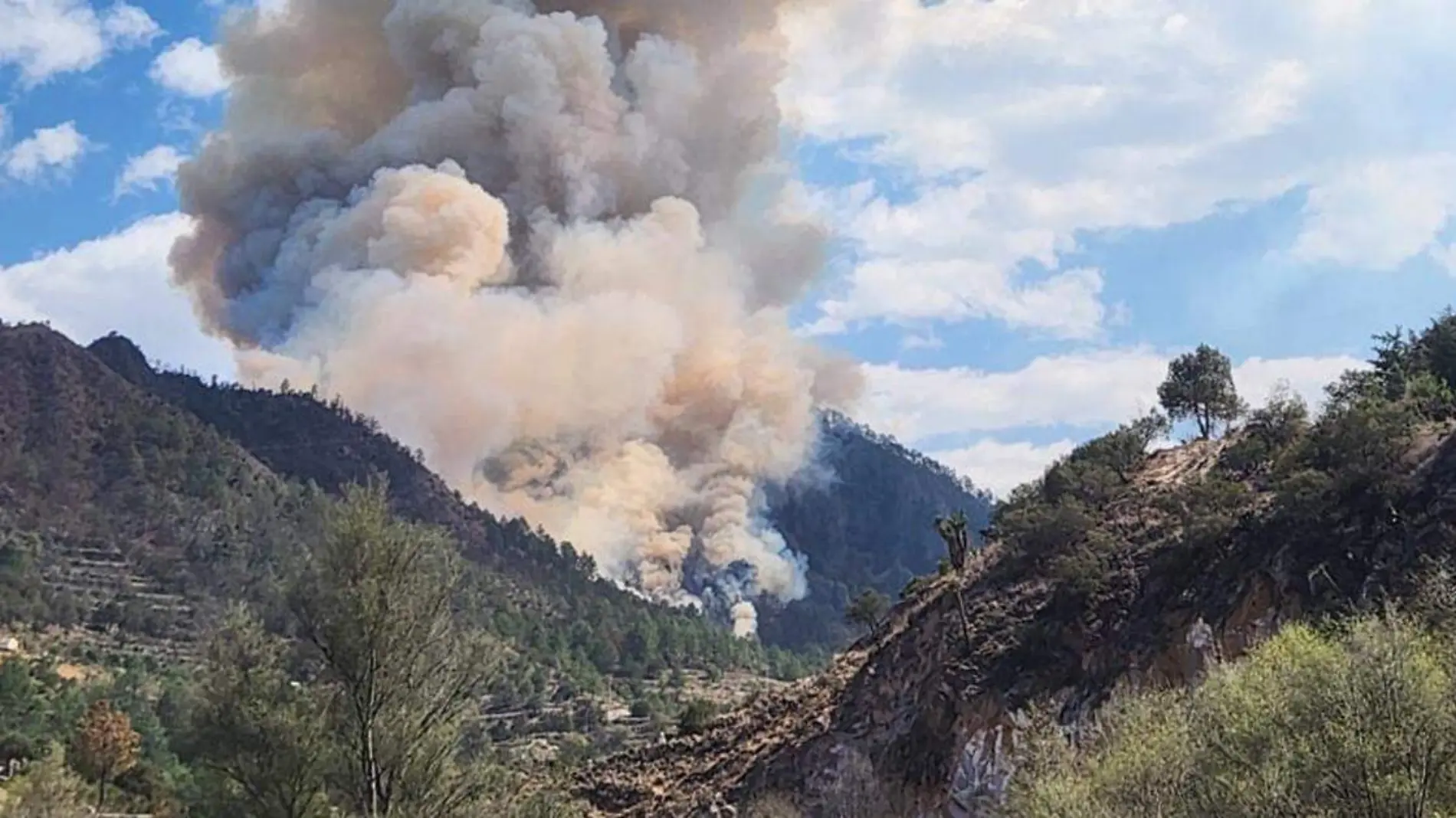 Incendio forestal registrado en Ixtacamaxtitlán